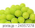 マスカット 24357278