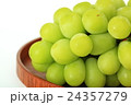 マスカット 24357279