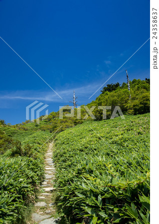 瓶ヶ森（かめがもり）山頂付近 24358637