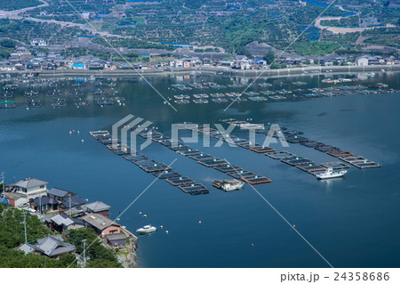 宇和海の養殖いかだと段々畑(愛媛県八幡浜川上) 宇和海の養殖いかだと段々畑(愛媛県八幡浜川上) 24358686