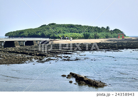 青島　青島海岸　鬼の洗濯板 24358943