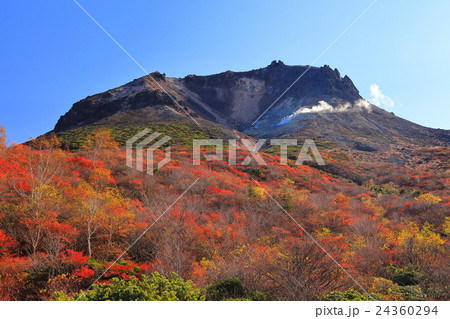 茶臼岳紅葉 24360294