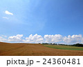 美瑛の丘 24360481