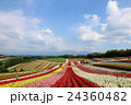四季彩の丘 24360482