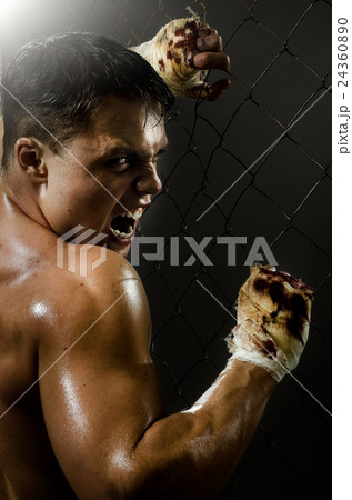 street fighter street fighter 24360890