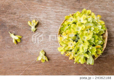 Cowslip creeper in basket on wooden table. Cowslip creeper in basket on wooden table. 24362188
