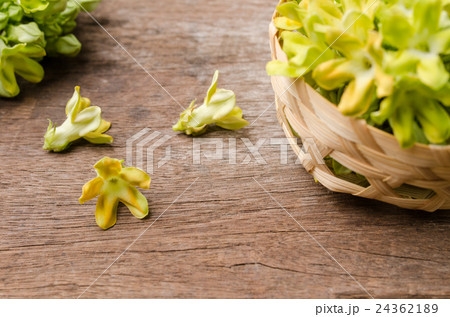 Cowslip creeper on wooden table. Cowslip creeper on wooden table. 24362189