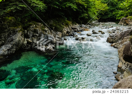 阿寺渓谷 (140) 24363215