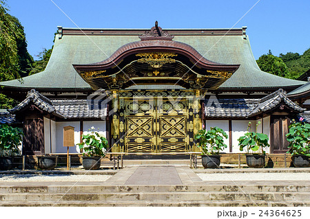 建長寺 唐門と方丈 建長寺 唐門と方丈 24364625