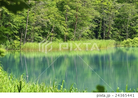 裏磐梯 五色沼の瑠璃沼の写真素材
