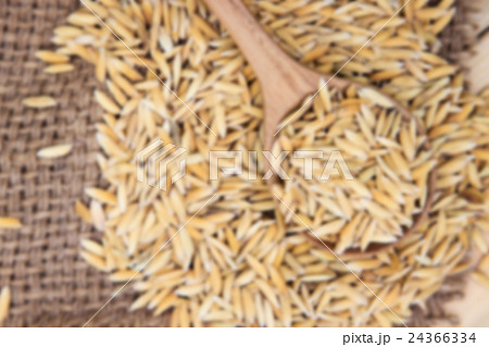 Paddy rice on wooden spoon with gunny sack Paddy rice on wooden spoon with gunny sack 24366334