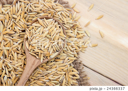 Paddy rice on wooden spoon with gunny sack  24366337