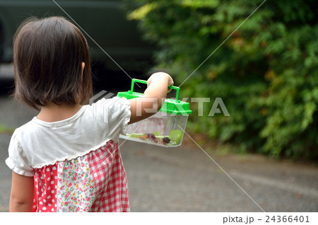 虫カゴを見る幼児 24366401