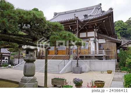 善福寺 善福寺 24366411