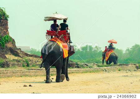 Tourists on elephant ride tourism Tourists on elephant ride tourism 24366902