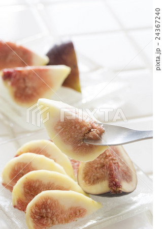 イチジク 24367240