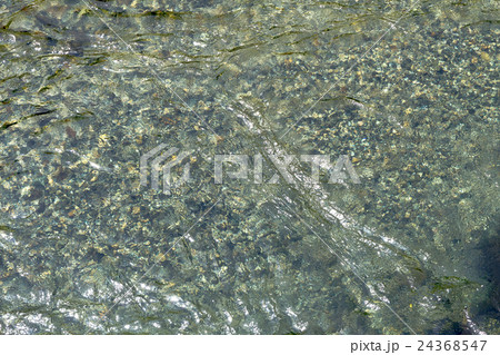 川底が砂利の川面の資料 24368547