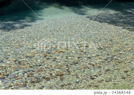 川面に映る樹影の資料 24368548