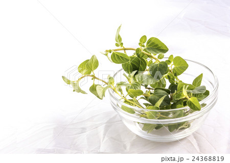 たべもの 食材 材料 24368819