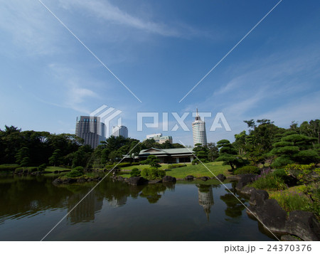 真夏の見浜園から見たビル街 24370376