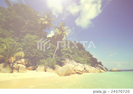 Tropical Island Tropical Island 24370720