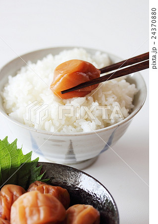 梅干(南高梅) 梅干(南高梅) 24370880