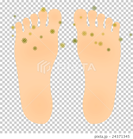 Foot soles of foot 24371345