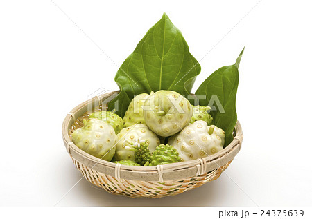 ノニ ノニ 24375639