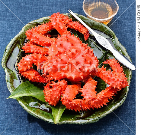 北海道産のボイル済の花咲蟹(花咲がに)。蟹酢を添えて。 北海道産のボイル済の花咲蟹(花咲がに)。蟹酢を添えて。 24375849
