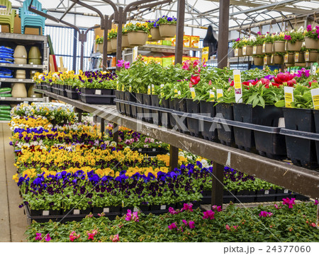 Home and garden store in spring Home and garden store in spring 24377060