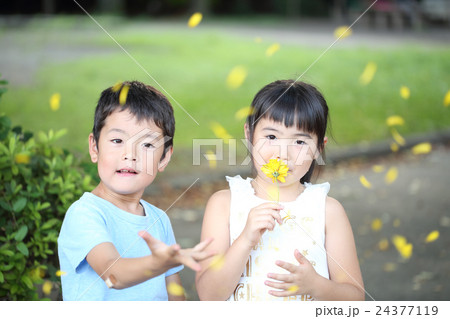 公園で遊ぶ子供達 公園で遊ぶ子供達 24377119
