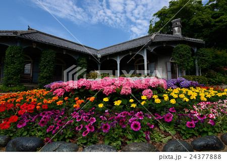 旧グラバー住宅と紫陽花 旧グラバー住宅と紫陽花 24377888