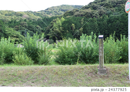 東海道五十三次赤坂宿一里塚跡 24377925