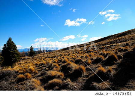テカポ湖　マウント・ジョン 24378302