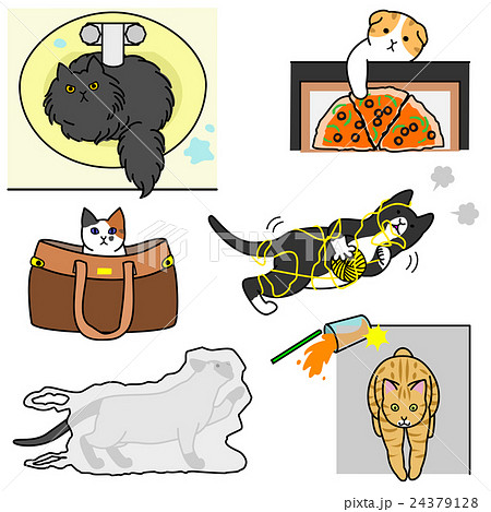 いたずら猫たち いたずら猫たち 24379128