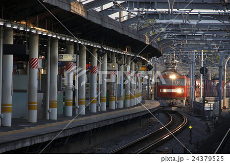 早朝の赤羽駅を通過するEH500形の貨物列車 24379525
