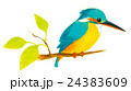 鳥のイラスト　カワセミ　手描き 24383609