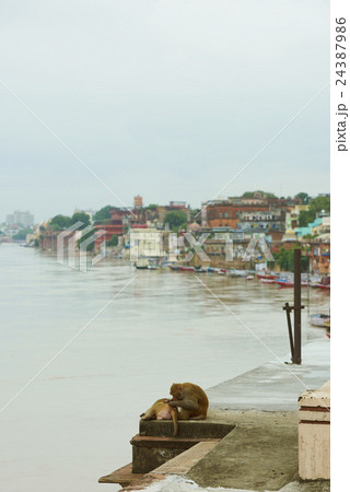 Varanasi India Varanasi India 24387986
