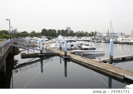 東京夢の島マリーナ 24391731