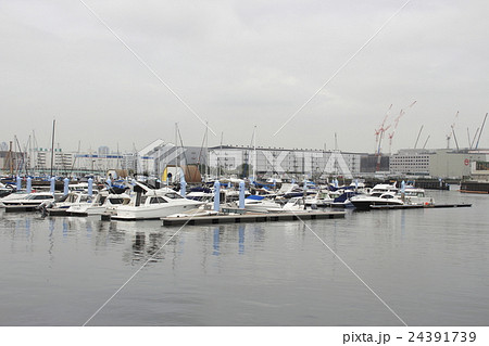 東京夢の島マリーナ 東京夢の島マリーナ 24391739