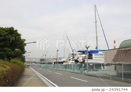 東京夢の島マリーナ 24391744