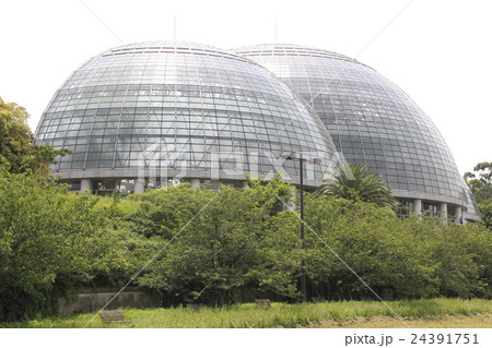 夢の島熱帯植物館 24391751
