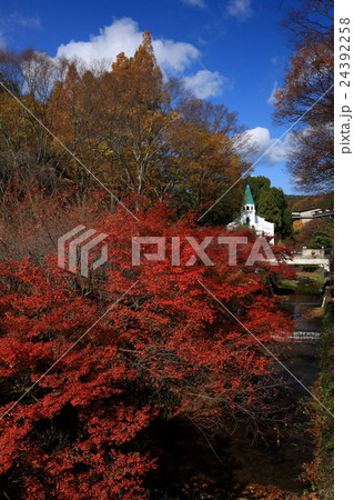 しょうざんの紅葉 しょうざんの紅葉 24392258