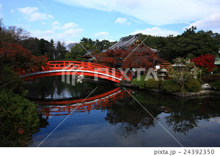 神泉苑の紅葉 神泉苑の紅葉 24392350
