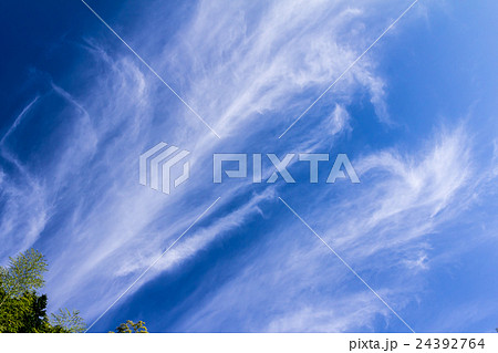 放射状巻雲（ほうしゃじょうけんうん）の資料 24392764