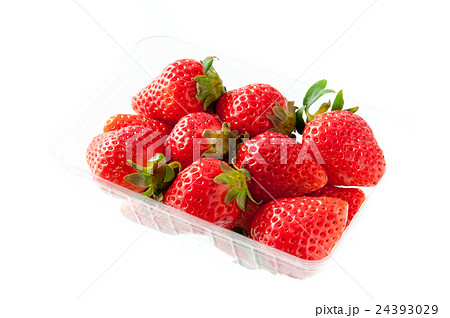 いちご あまおう いちご あまおう 24393029