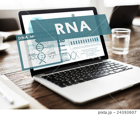 RNA Ribonucleic Physical Molecule Evolution Concept 24393607