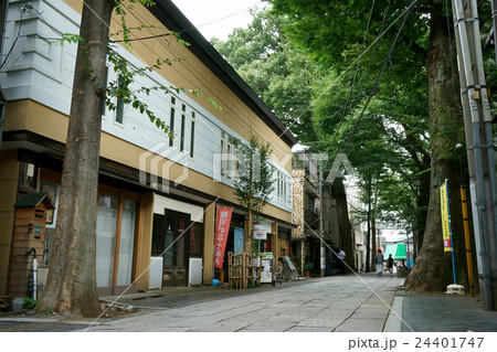 雑司が谷の並木ハウス別館 24401747