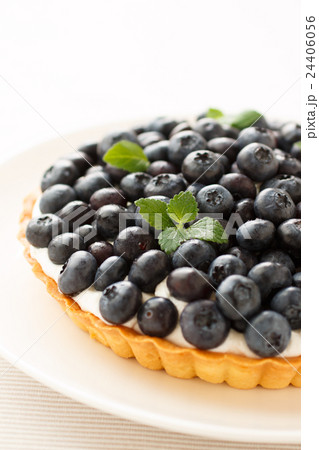 ブルーベリータルト 24406056