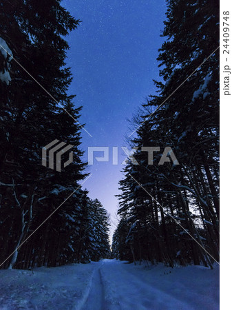 冬の道 冬の道 24409748